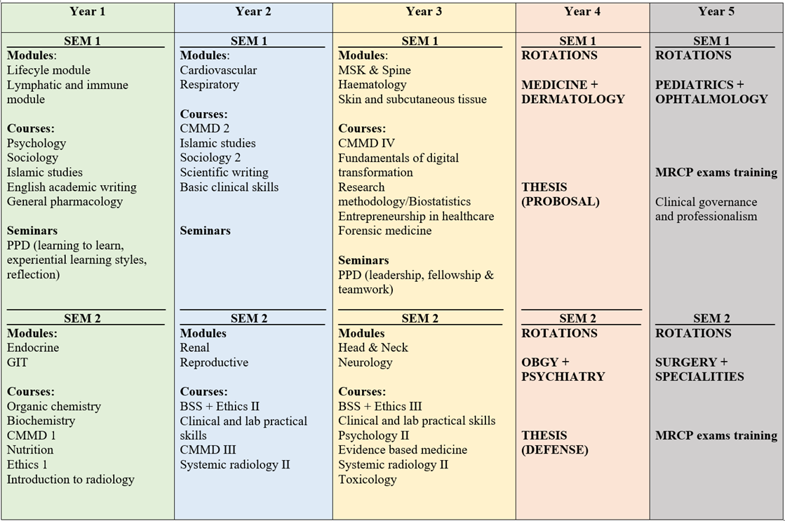 med-curriculum-plan